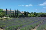 Fluss- und Veloreise Lavendelblüte in die Provence