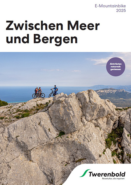 E-Mountainbike
